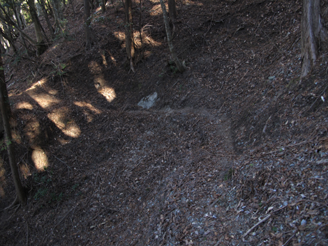 20190121hike (85)